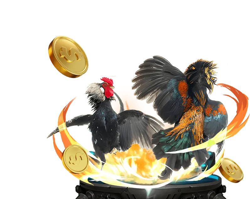 Hướng dẫn truy cập và xem đá gà trực tiếp CPC3